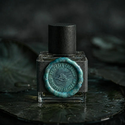 Preorder: Nymphaea Caerulea 藍睡蓮